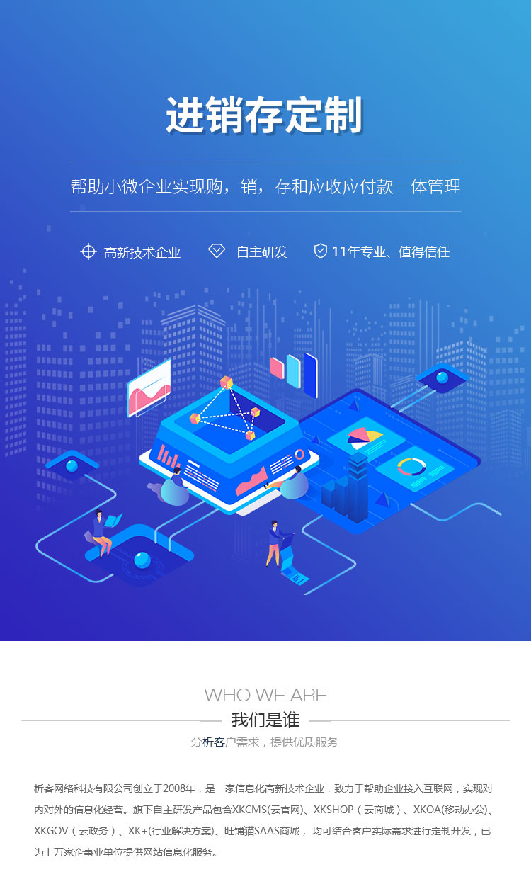 进销存系统开发:构建高效管理的新篇章